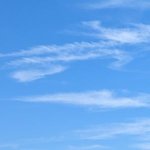 Meet your Posher, Stella